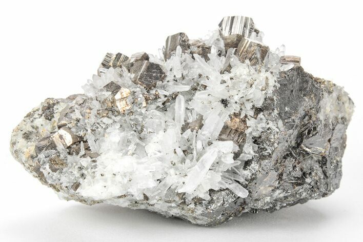 Gleaming Pyrite and Quartz Crystal Association - Peru #213663